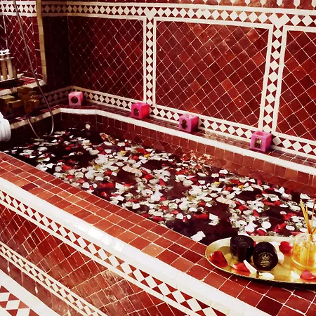 Riad Wow-3