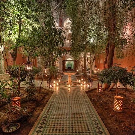 Riad Kaiss By Anika-3