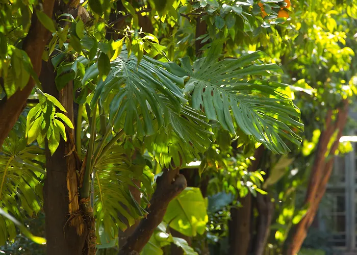 Les Jardins De La Medina Hotel Marrakesh